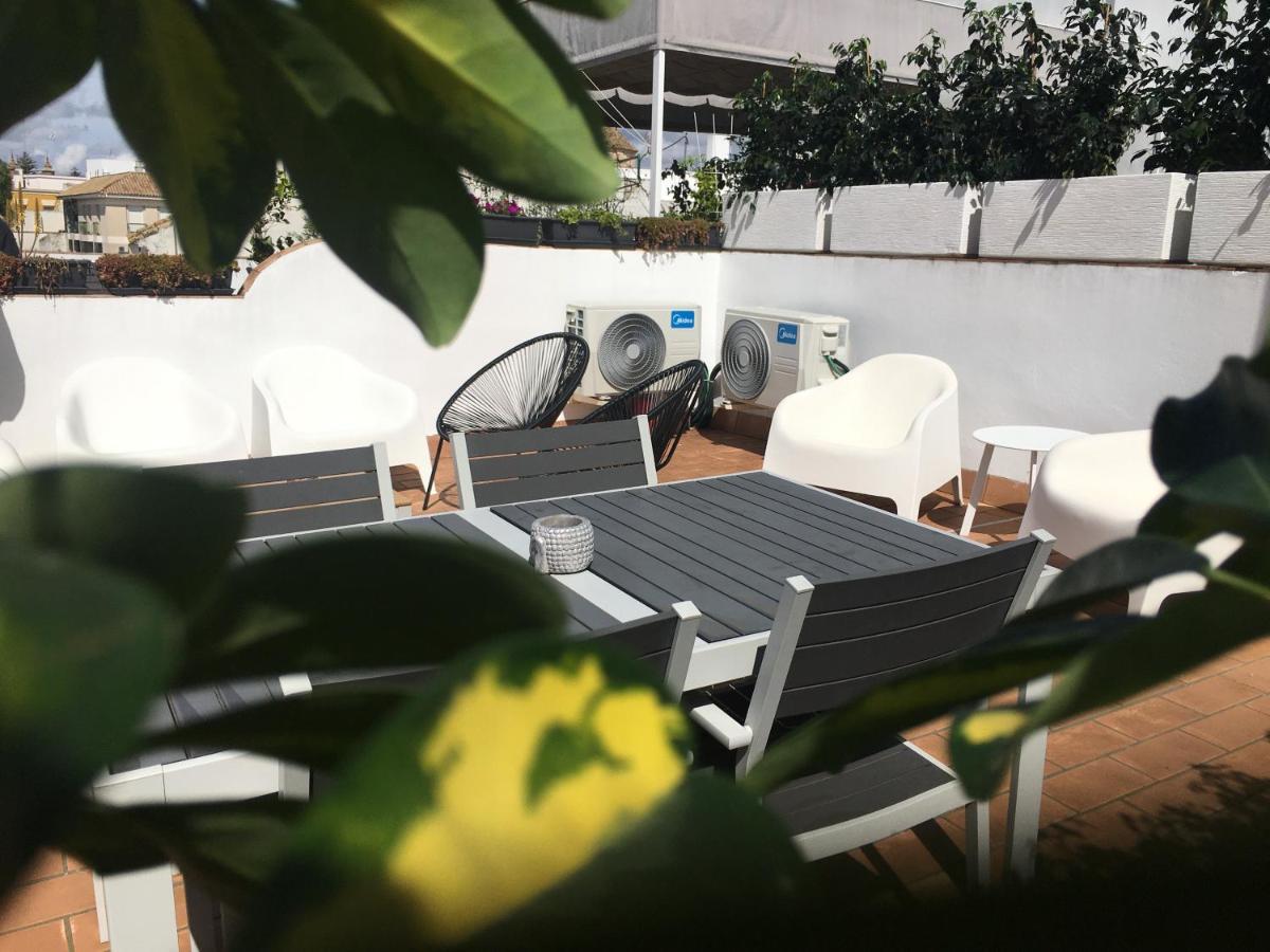 Apartmán Loft Xerez Centro Jerez de la Frontera Exteriér fotografie