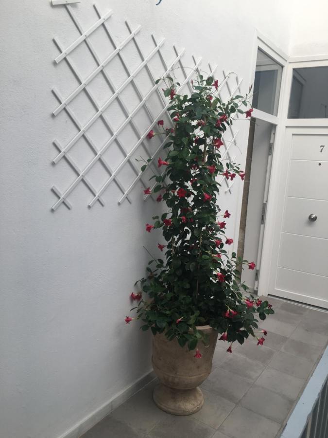 Apartmán Loft Xerez Centro Jerez de la Frontera Exteriér fotografie